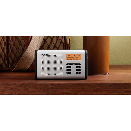 Radio PURE VL61819