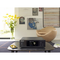 Éléments Séparés PIONEER N-P01-K