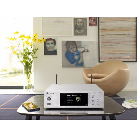 Éléments Séparés PIONEER NP01S
