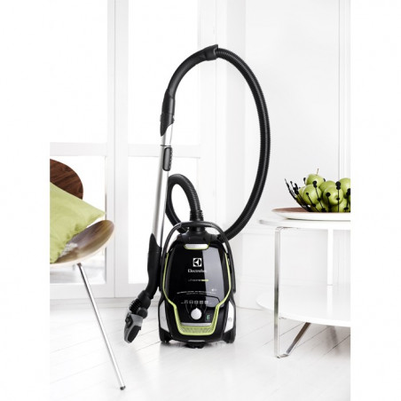 Aspirateur ELECTROLUX ZUOGREEN+