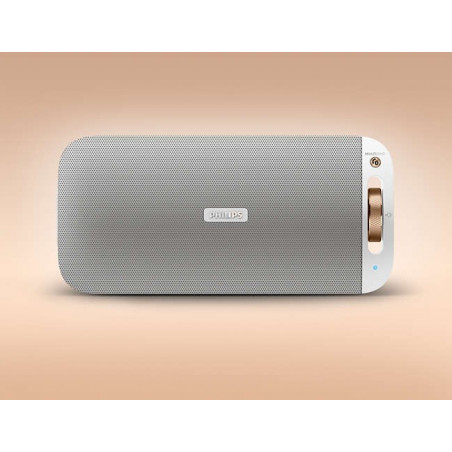 Bluetooth / Sans fil PHILIPS BT3600W/00