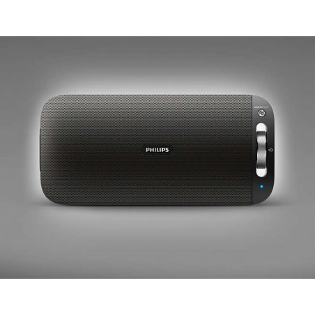 Bluetooth / Sans fil PHILIPS BT3600B/00