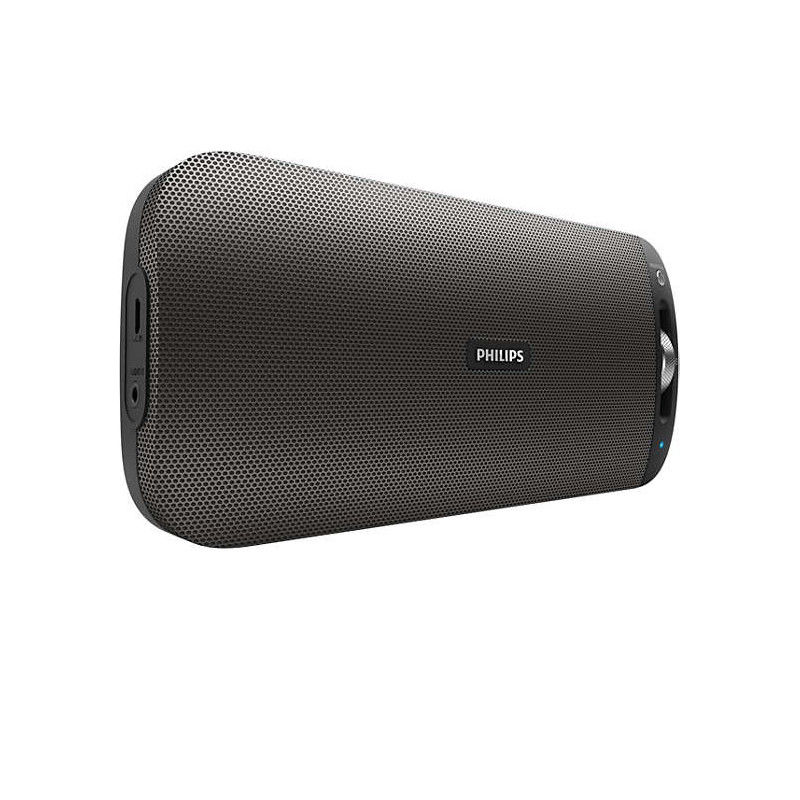 Bluetooth / Sans fil PHILIPS BT3600B/00