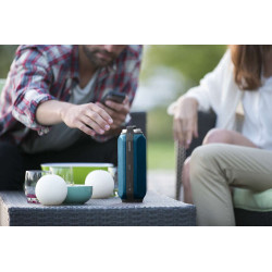 Bluetooth / Sans fil PHILIPS BT6600A/12
