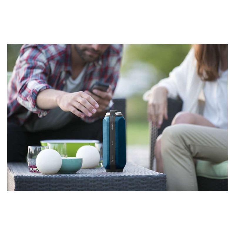Bluetooth / Sans fil PHILIPS BT6600A/12