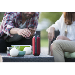 Bluetooth / Sans fil PHILIPS BT6600R/12