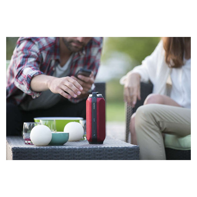 Bluetooth / Sans fil PHILIPS BT6600R/12