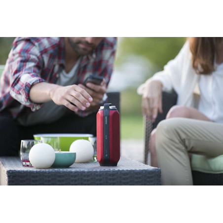 Bluetooth / Sans fil PHILIPS BT6600R/12