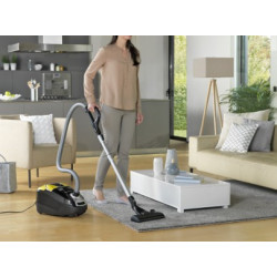 Aspirateur ROWENTA RO6864EA