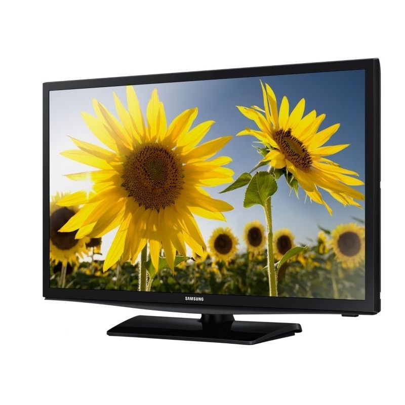 Télévision SAMSUNG UE19H4000AW
