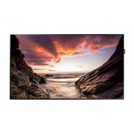 Moniteurs LED/OLED SAMSUNG PM43F