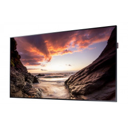 Moniteurs LED/OLED SAMSUNG PM43F