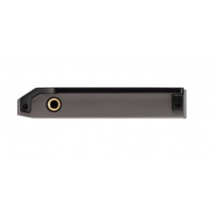 Lecteur audio numérique PIONEER XDP-100R
