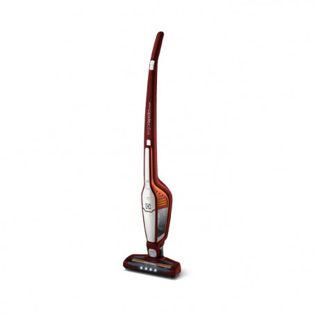Aspirateur ELECTROLUX ZB3012