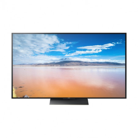 Télévision SONY KD65ZD9BAEP