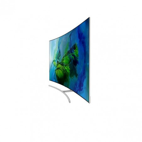 Télévision SAMSUNG QE65Q8C (2017)