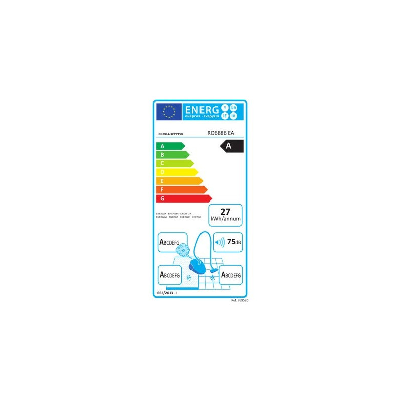 Aspirateur ROWENTA RO6886EA