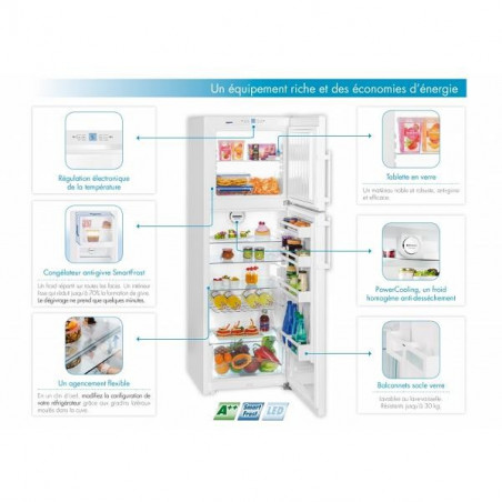 Réfrigérateur congélateur LIEBHERR CTP 3316-22