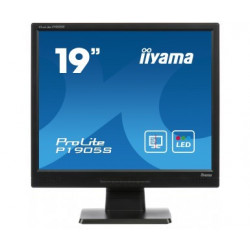 Moniteur PC IIYAMA P1905S-2