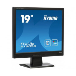 Moniteur PC IIYAMA P1905S-2