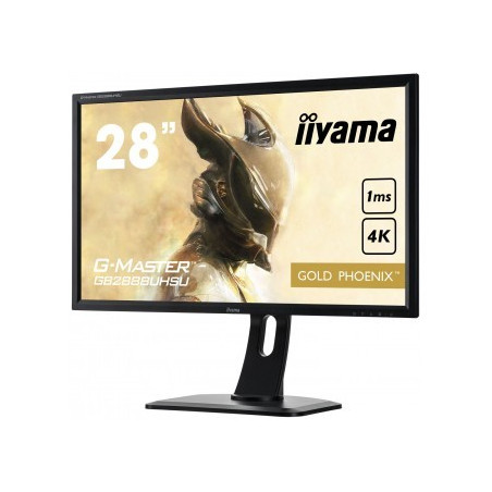 Moniteur PC IIYAMA GB2888UHSU-B1