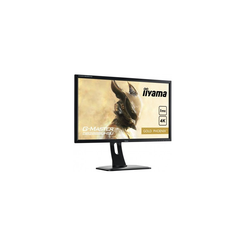 Moniteur PC IIYAMA GB2888UHSU-B1