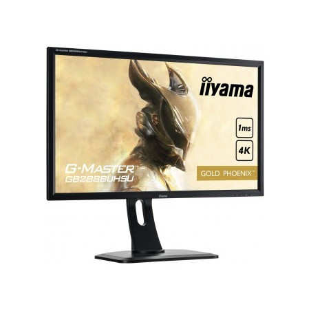 Moniteur PC IIYAMA GB2888UHSU-B1