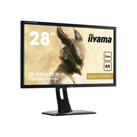 Moniteur PC IIYAMA GB2888UHSU-B1