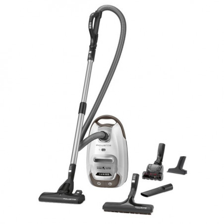 Aspirateur ROWENTA RO6457EA