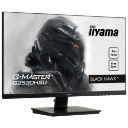 Moniteur PC IIYAMA G2530HSU-B1