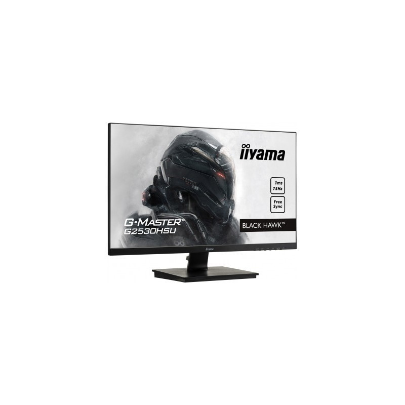 Moniteur PC IIYAMA G2530HSU-B1