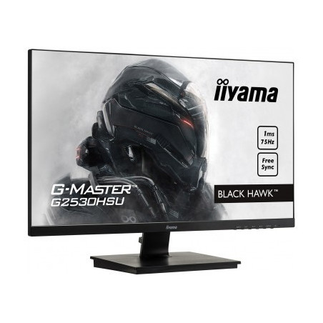 Moniteur PC IIYAMA G2530HSU-B1