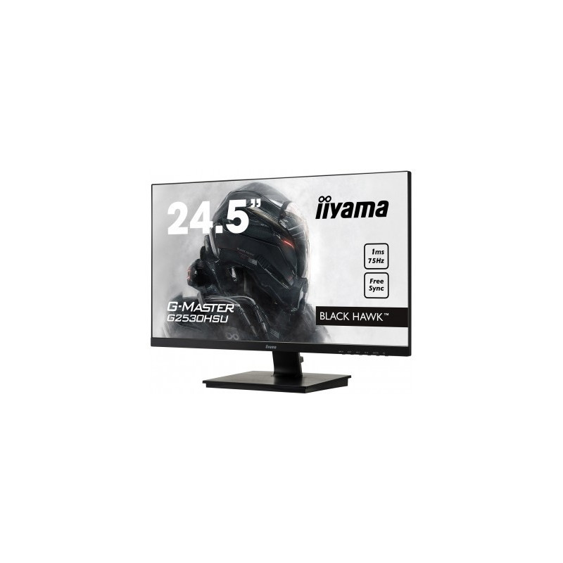 Moniteur PC IIYAMA G2530HSU-B1