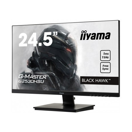 Moniteur PC IIYAMA G2530HSU-B1