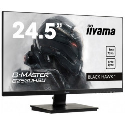 Moniteur PC IIYAMA G2530HSU-B1