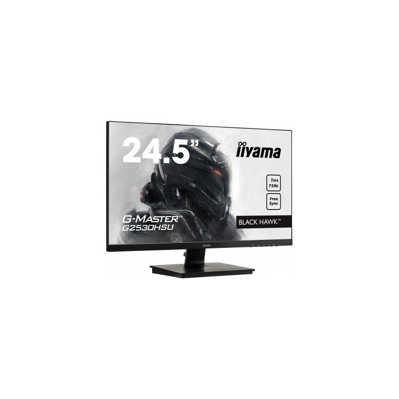 Moniteur PC IIYAMA G2530HSU-B1