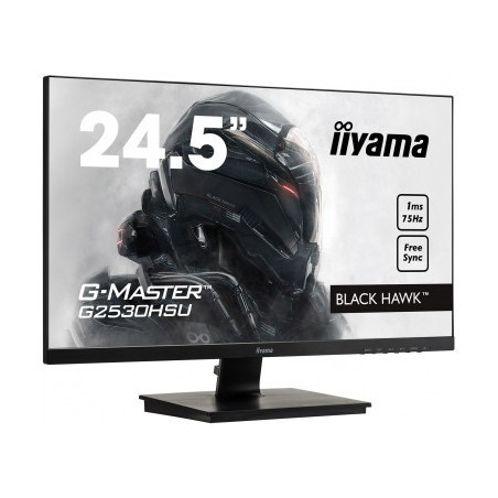 Moniteur PC IIYAMA G2530HSU-B1