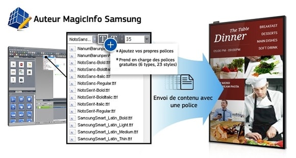 SAMSUNG LH55DBEPLGC/EN