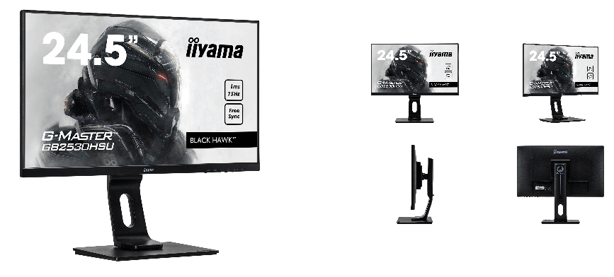 iiyama GB2530HSU-B1