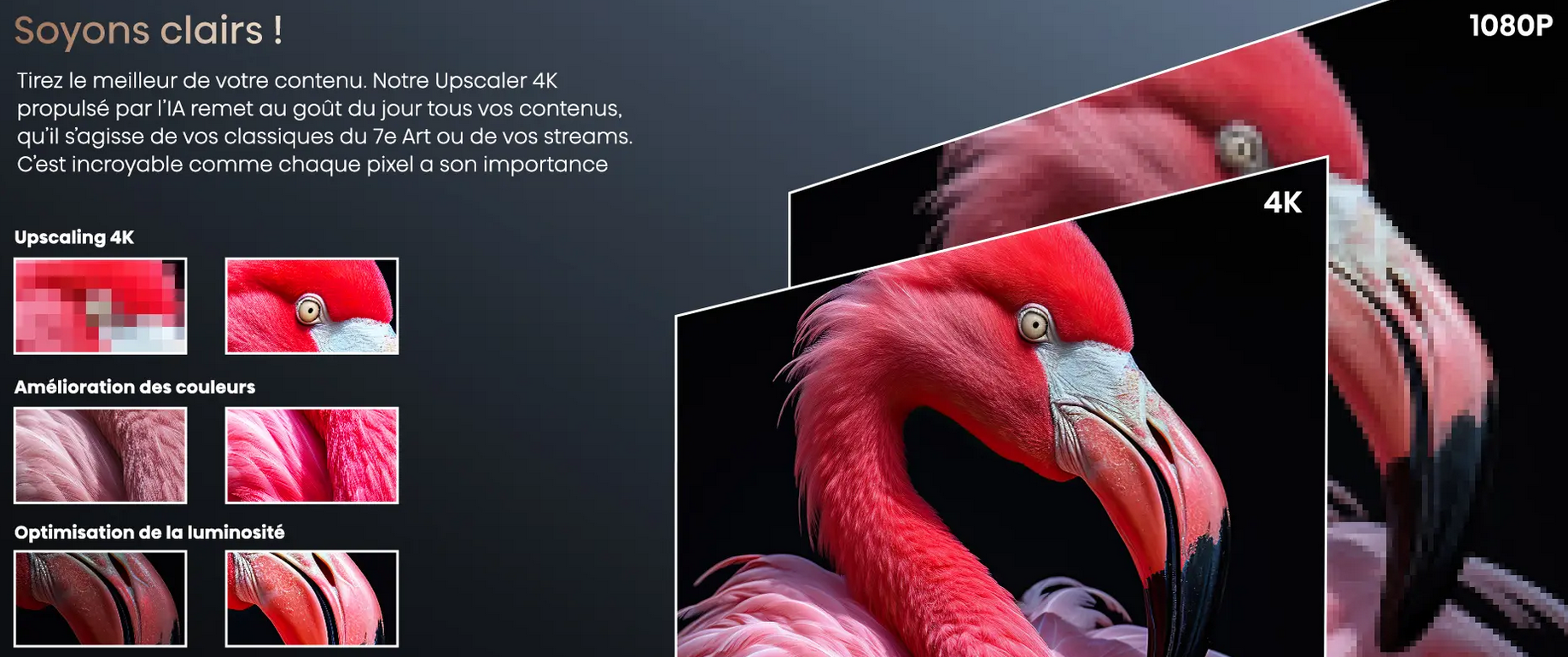 HISENCE C2 PRO