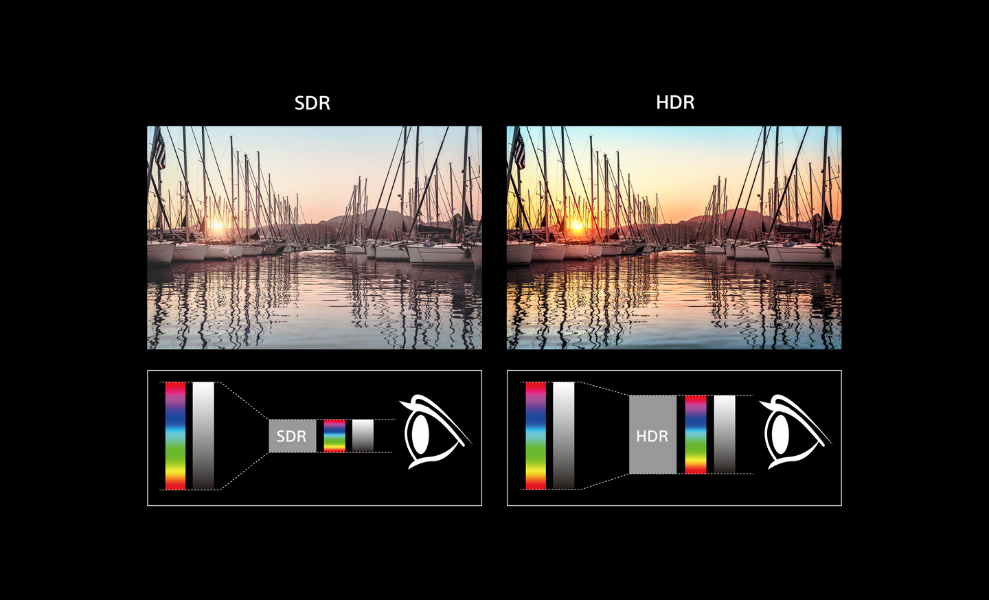 SONY KD55XF8596BAEP