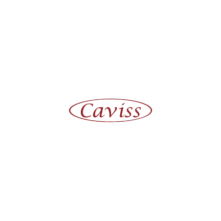 Logo Caviss