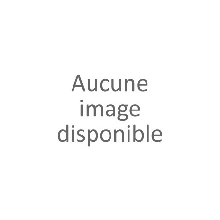 Ventilateur / Climatiseur CONFORT LINE SW21